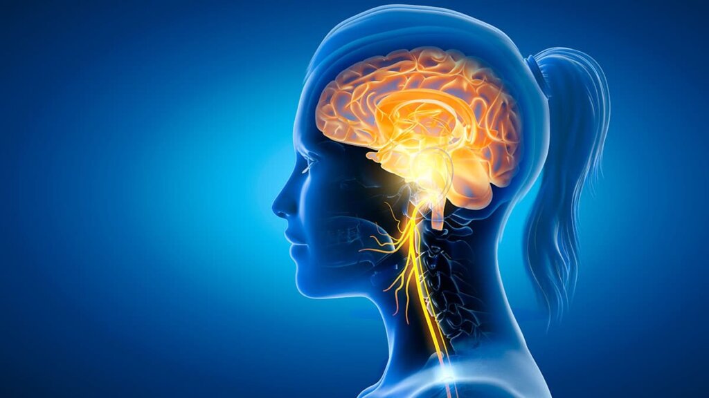 female face with illuminated brain