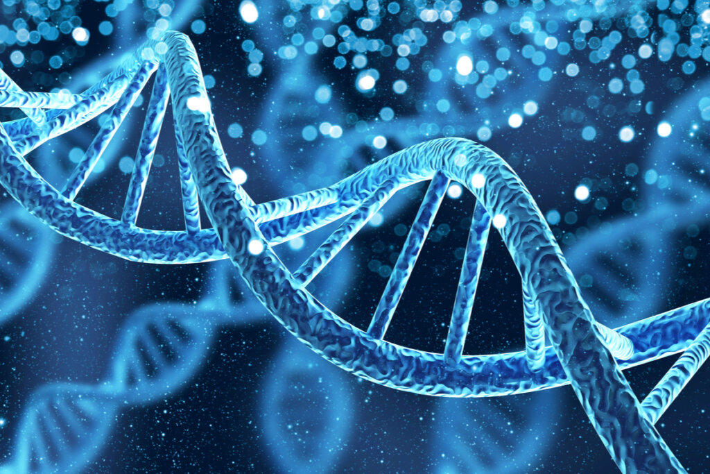 DNA