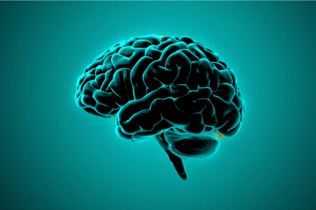 Hjerne med en grønn bakgrunn som representerer asymbolisme av smerte