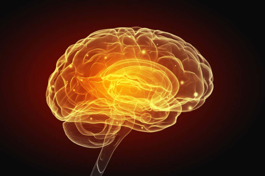 hjerne som symboliserer hvordan mennesker med demens har problemer med å svelge mat