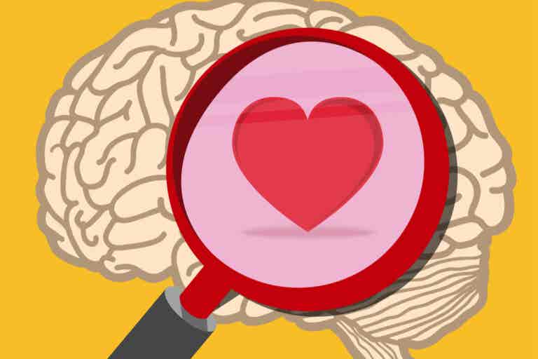 Los tipos de inteligencia emocional: ¿con cuál te identificas?