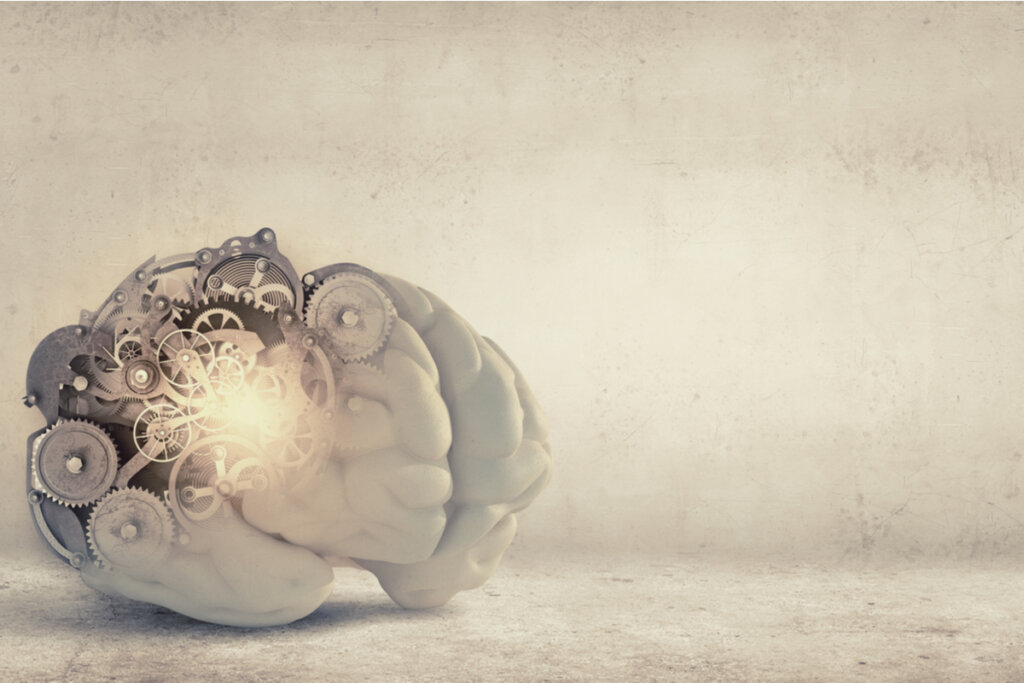cerveau avec mécanismes