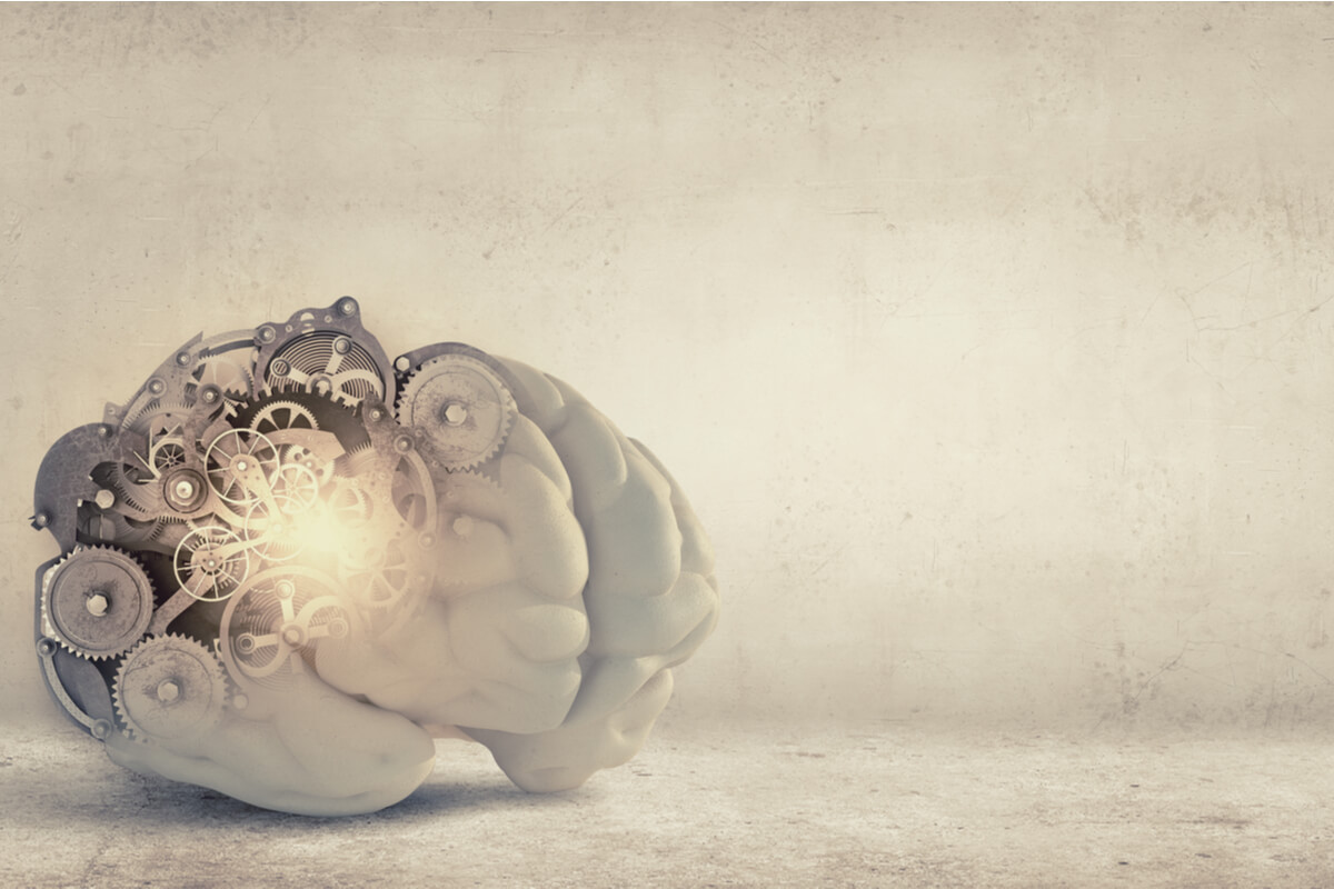 Las 4 diferencias entre inteligencia fluida e inteligencia cristalizada La Mente es Maravillosa Las 4 diferencias entre inteligencia fluida e inteligencia cristalizada La Mente es Maravillosa
