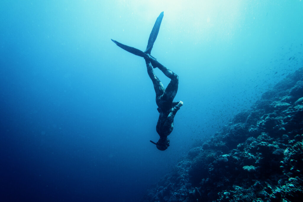 Hombre buceando en el mar