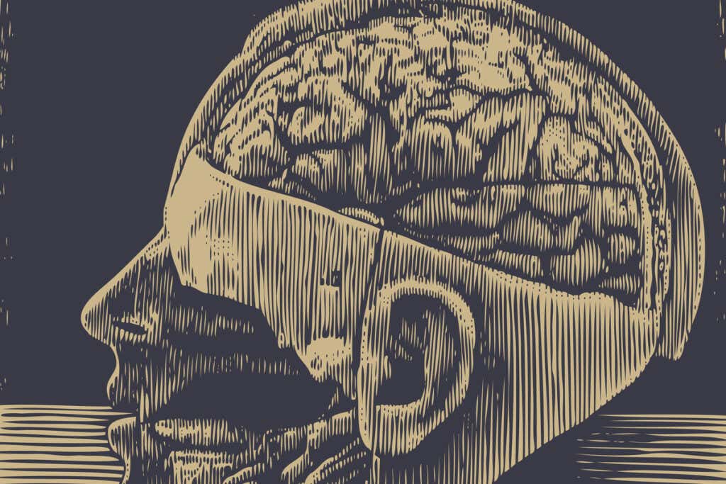 Ilustración de una cabeza con un cerebro