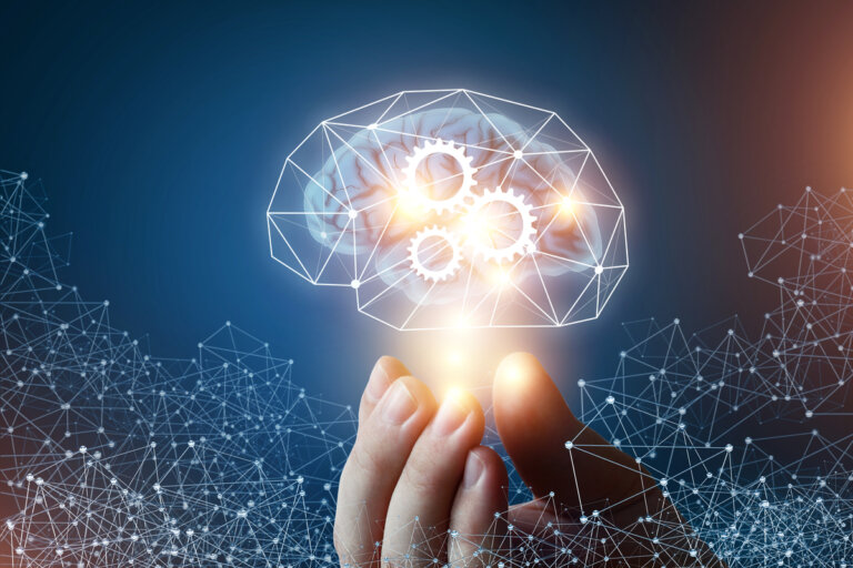 Las 4 diferencias entre inteligencia fluida e inteligencia cristalizada