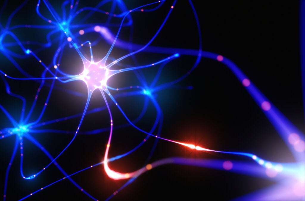Neuroni con luce.