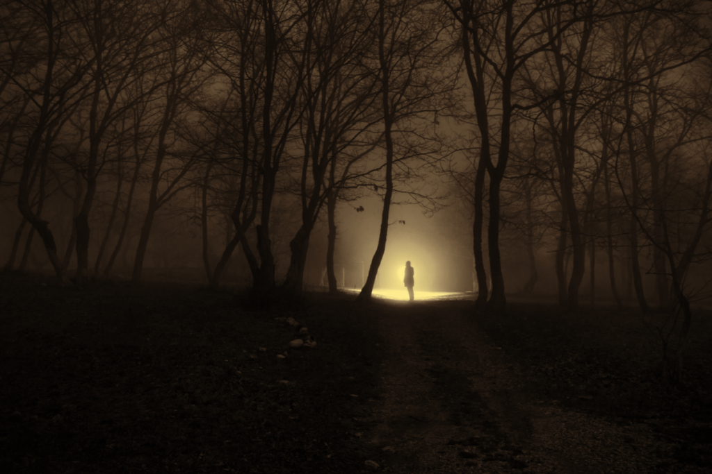 Personne au milieu de la forêt sombre pensant à Mary Shelley