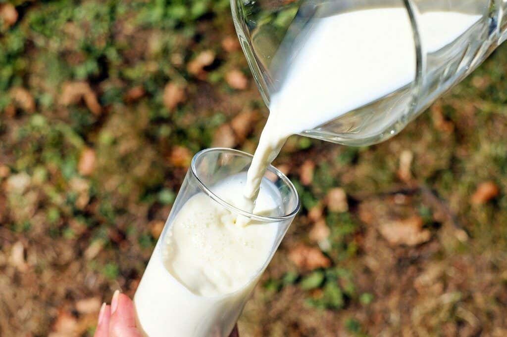 27 proteinreiche Lebensmittel: Milch