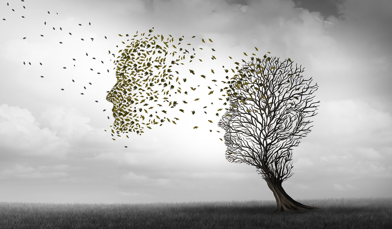 Diferencias entre alzhéimer y demencia