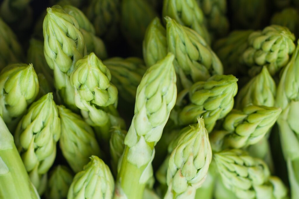 Asparagus