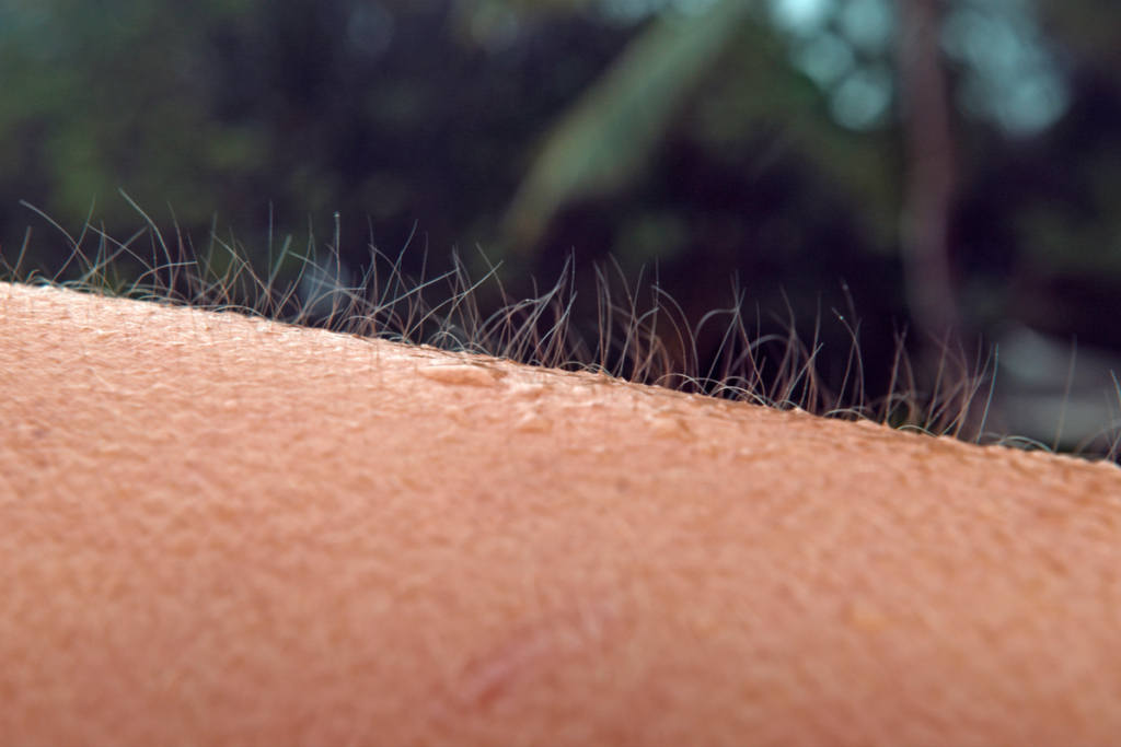 ¿Qué son los orgasmos de piel?