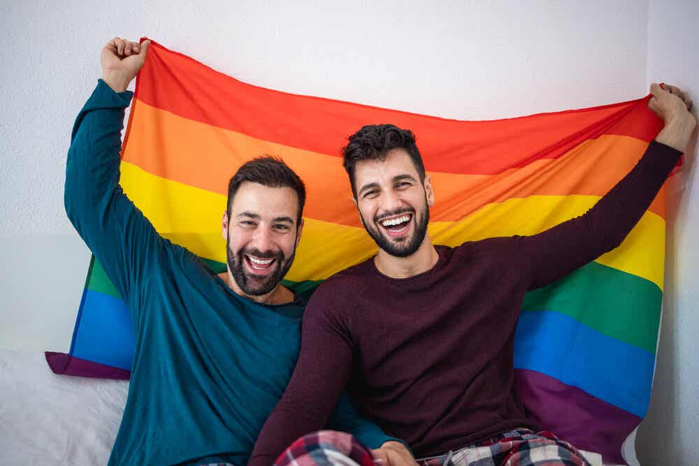 Par med regnbueflag symboliserer homo-genet