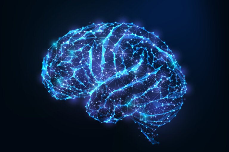 ¿Existe relación entre la personalidad y la estructura cerebral?