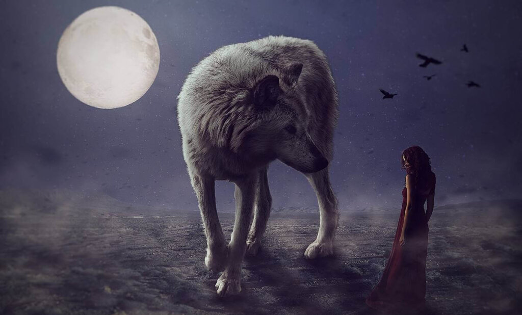 Menina com lobo simbolizando pessoas traiçoeiras