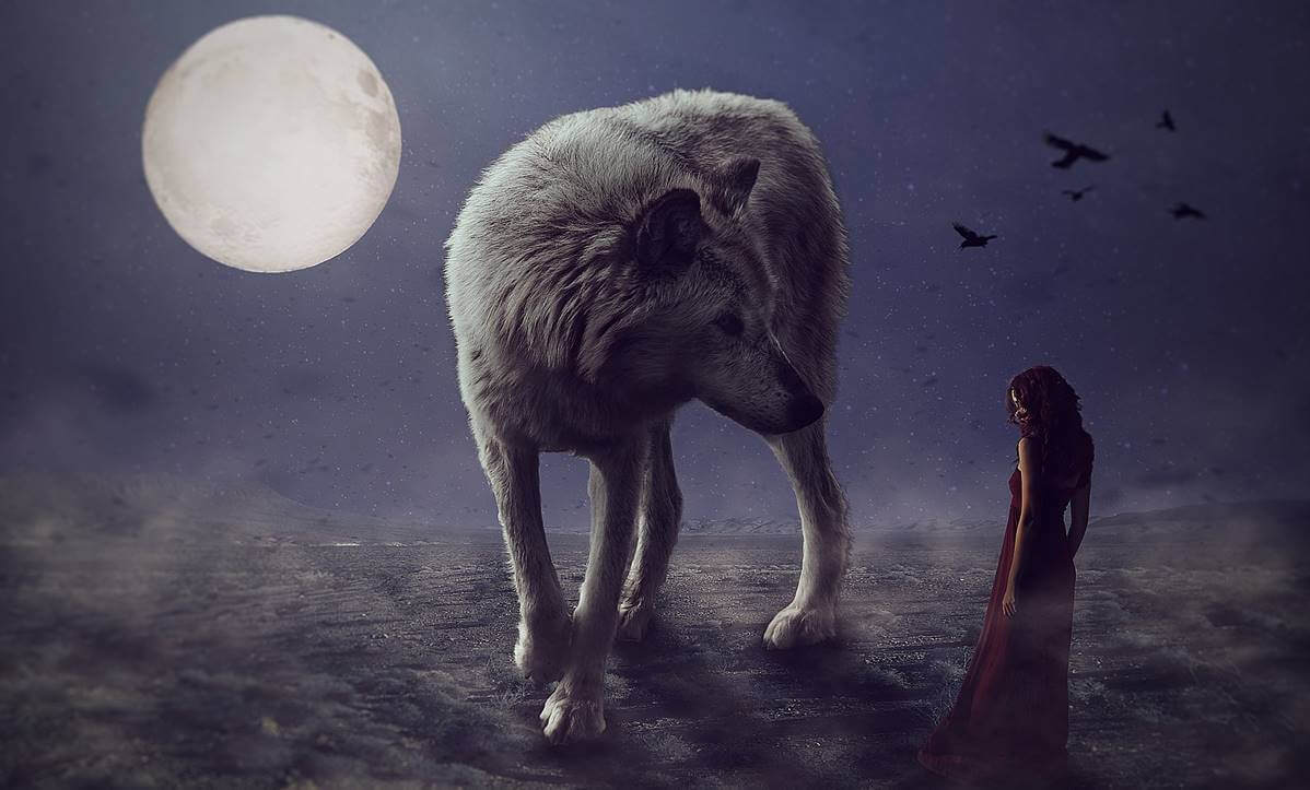 Chica con lobo pensando cuando nadie te puede tocar