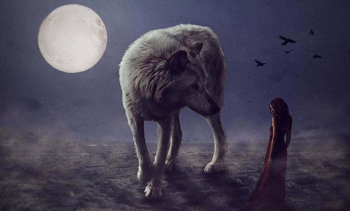 Wolfsfrau mit Stacheln