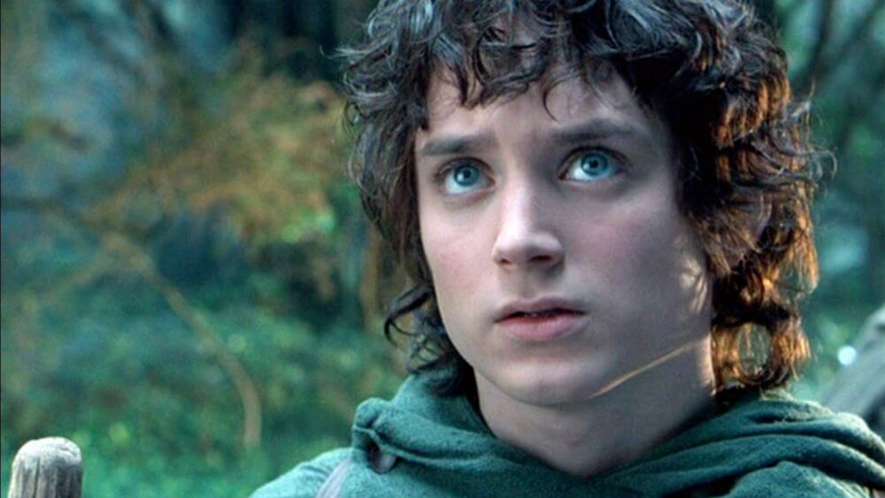 Frodo  in Der Herr der Ringe