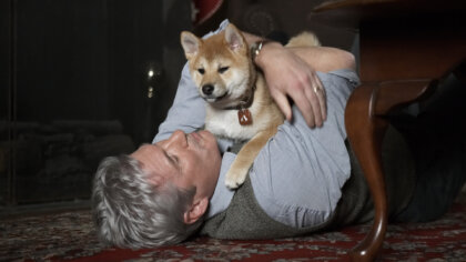 Las 11 mejores películas sobre perros