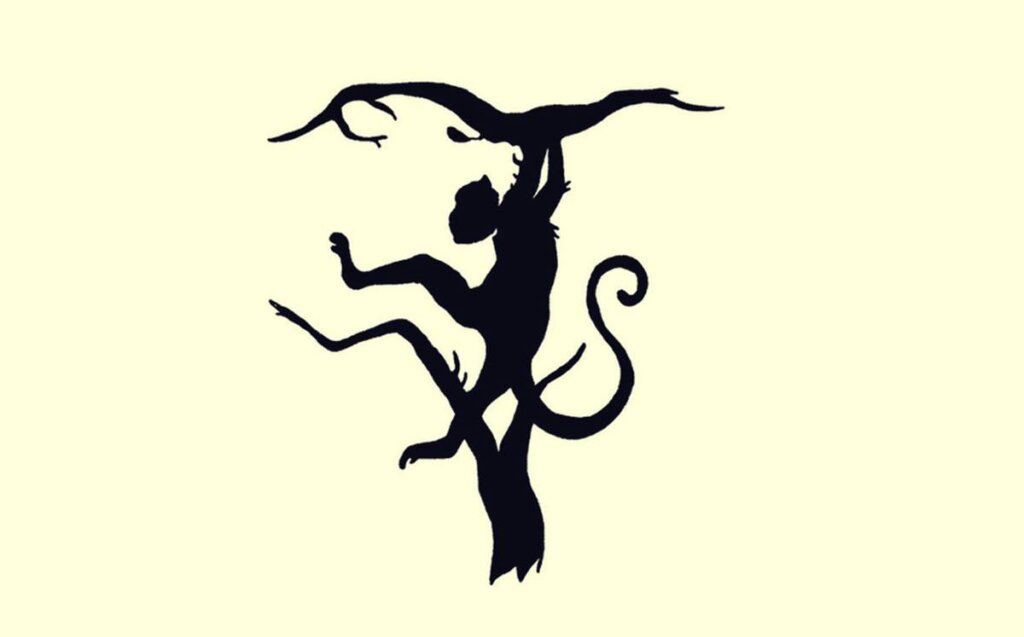 ilk önce ne görüyorsunuz testi