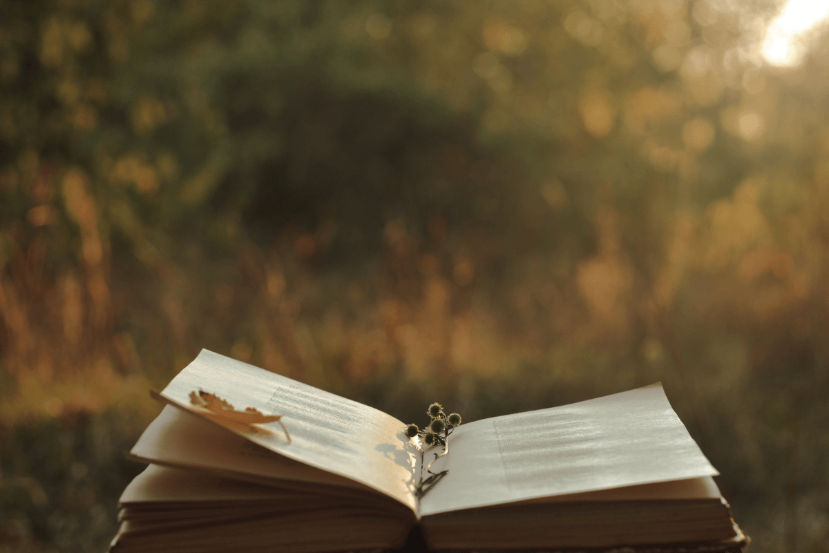 ¿Por qué se lee cada vez menos poesía?