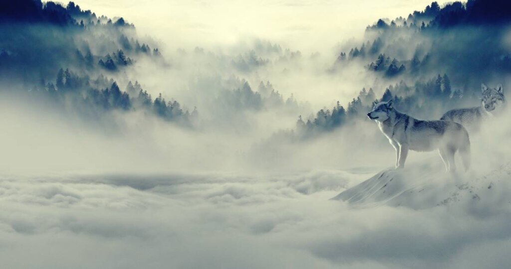 scène de montagne avec du brouillard pour symboliser quand les chagrins nous hantent comme des loups féroces