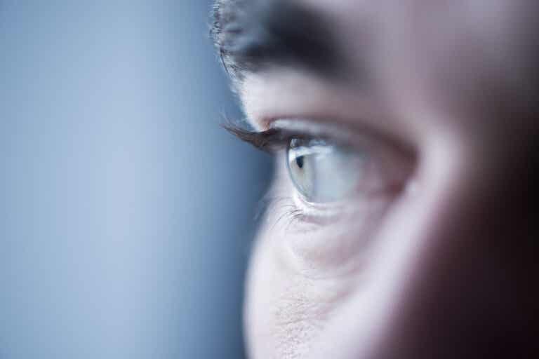 Según la ciencia, el tamaño de las pupilas se relaciona con la inteligencia