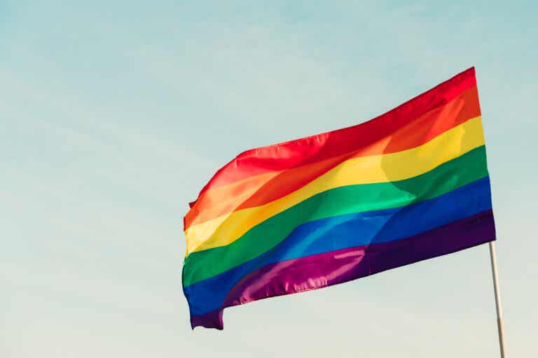 Movimiento LGBTIQ+: ¿en qué consiste y cuál es su historia?