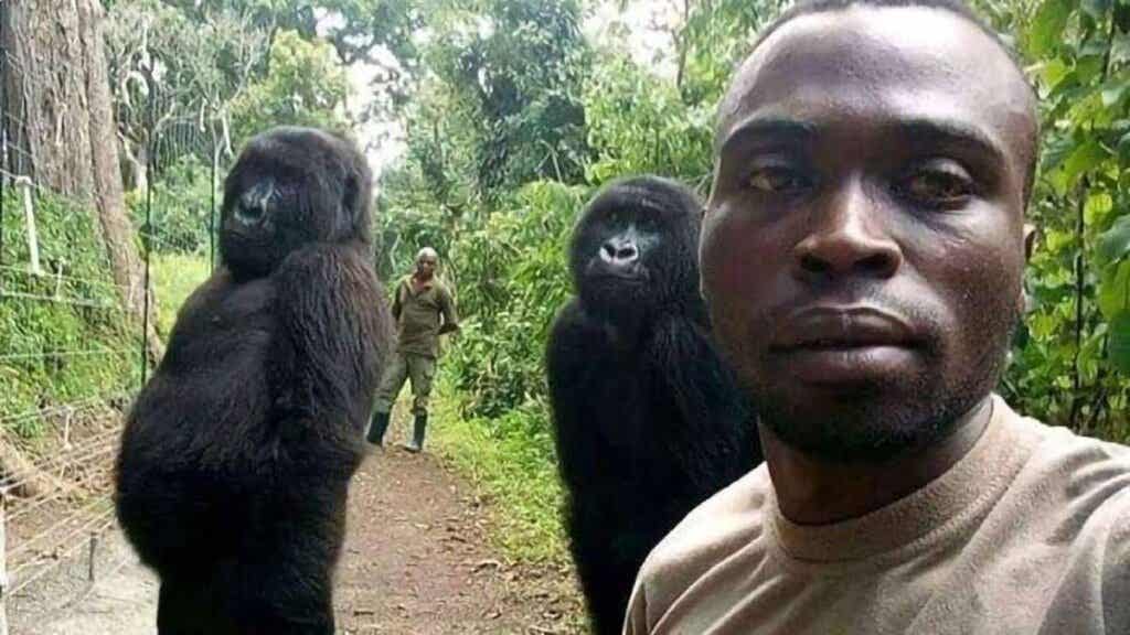 Cuidador con la gorila Ndakasi 