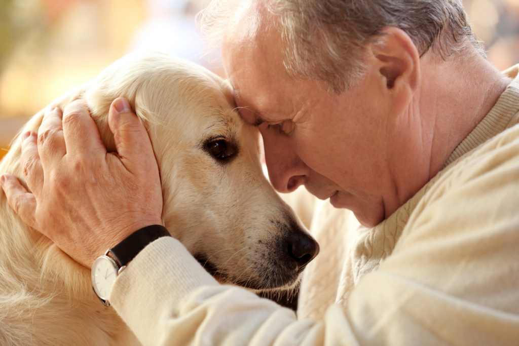 Homme supérieur avec un chien