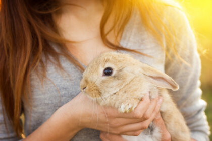 Los 11 animales de compañía más comunes