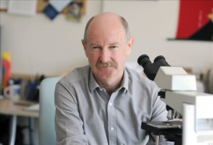 Las fascinantes ideas del neurobiólogo Rafael Yuste sobre el cerebro