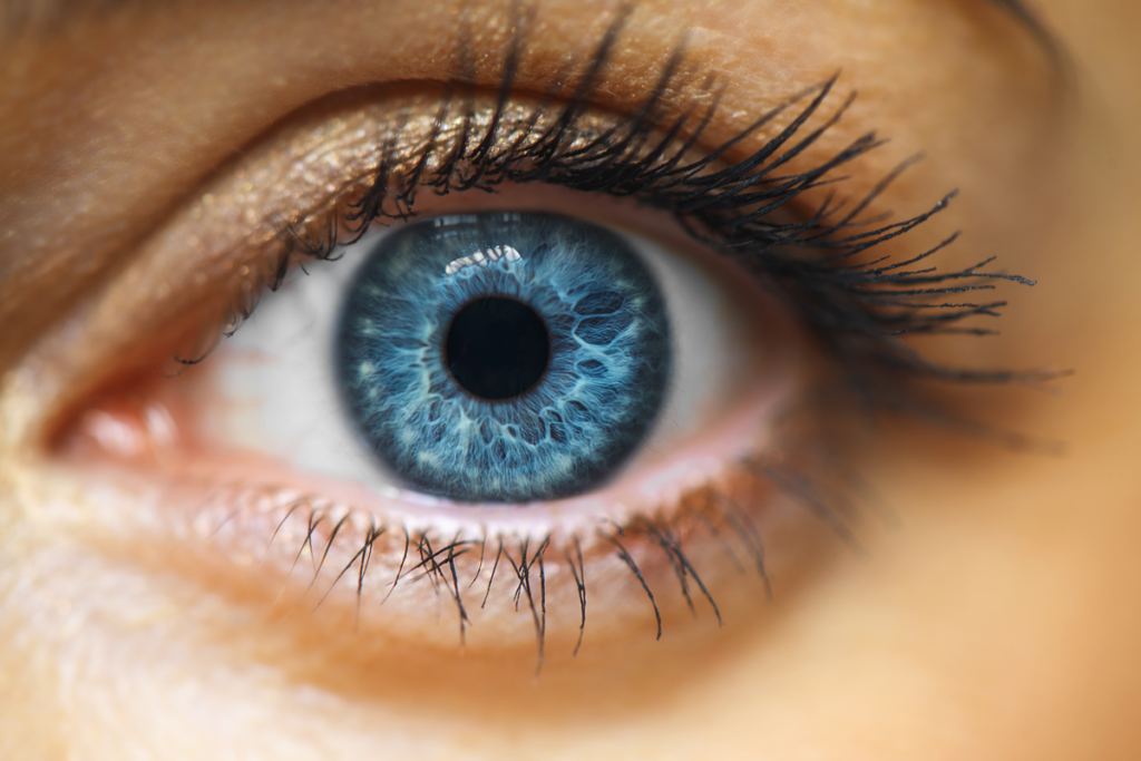 Sakkadische Augenbewegungen: Merkmale und Funktionen