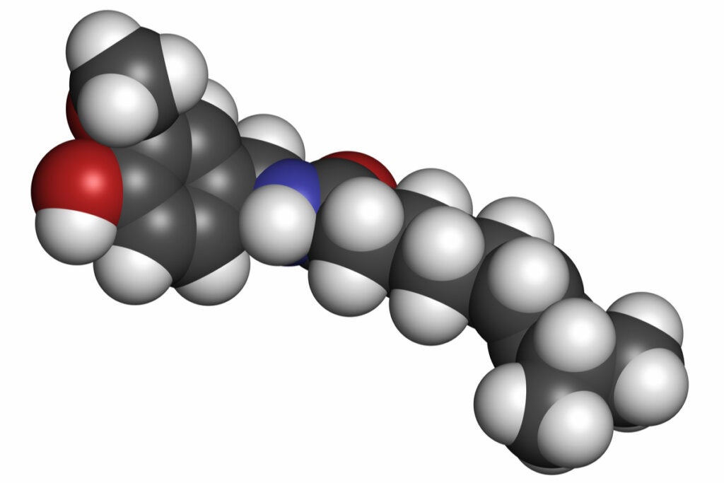 Capsaïcine-molecuul