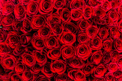 ¿Qué significa el color rojo en psicología?