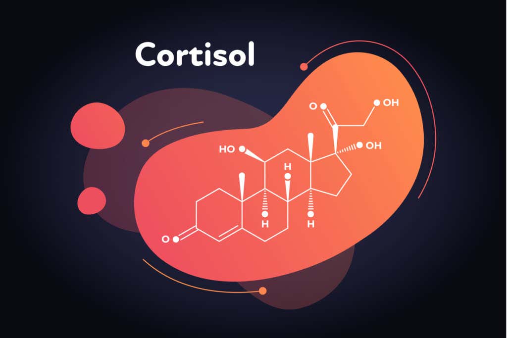 formule de cortisol