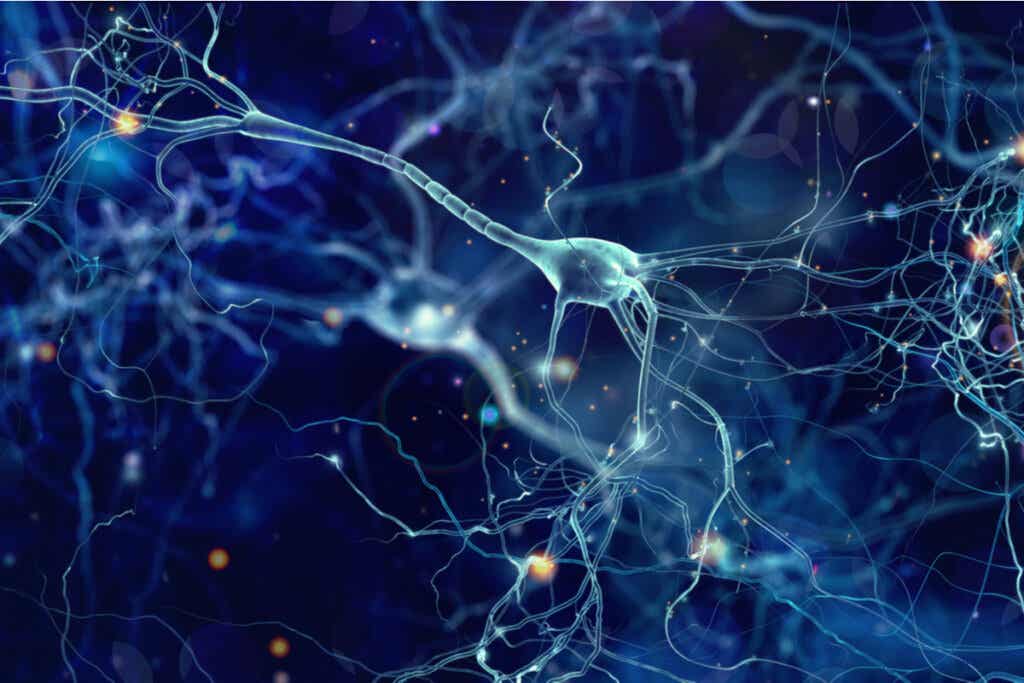 Neuronas en el cerebro representando la teoría de las cicatrices en la depresión