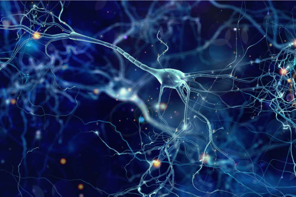 뇌와 우주의 유사성을 나타내는 뇌의 뉴런