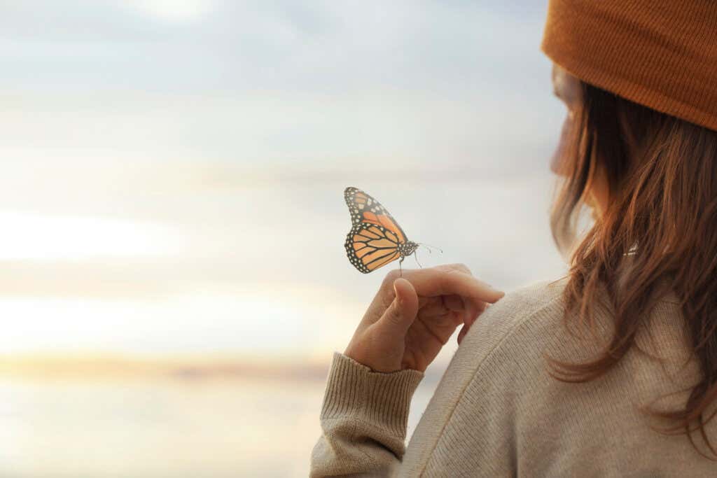 Frau mit Schmetterling denkt über das Gesetz der Umkehrung nach