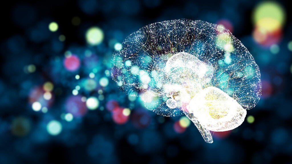 Cerebro iluminado con colores