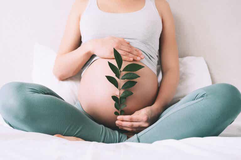 ¿Pueden los bebés sentir desde el útero las emociones de sus madres?