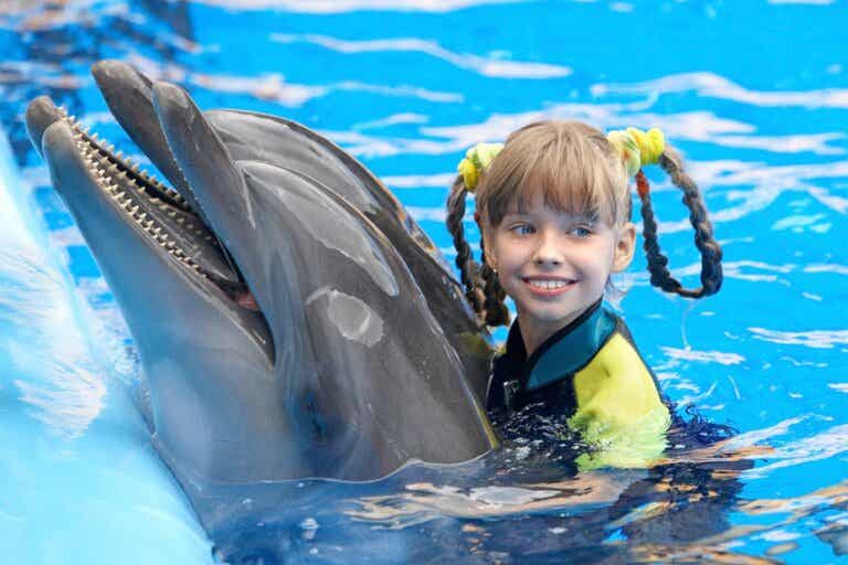 Terapia con delfines: ¿en qué consiste y cómo puede ayudar?