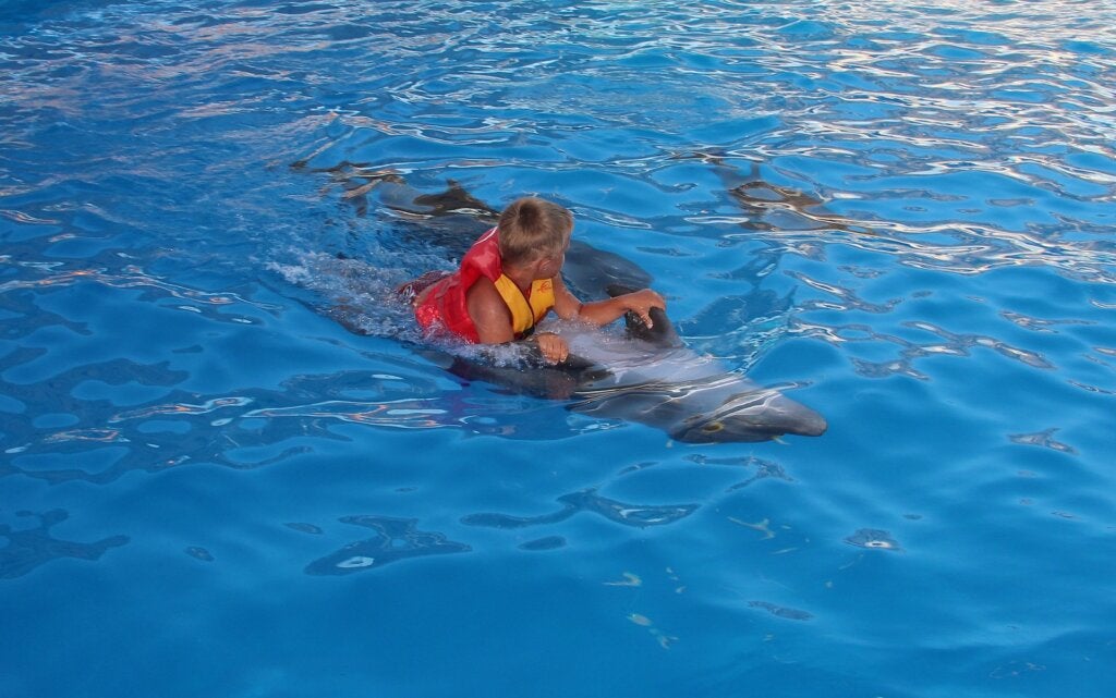 Garçon faisant la thérapie des dauphins