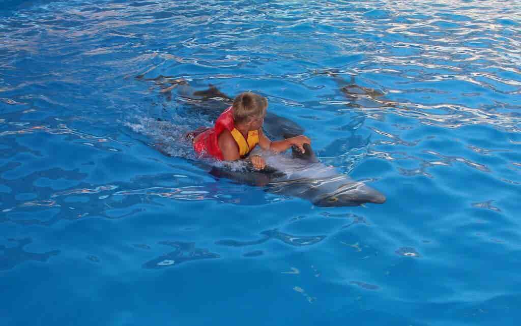 Niño haciendo delfinoterapia