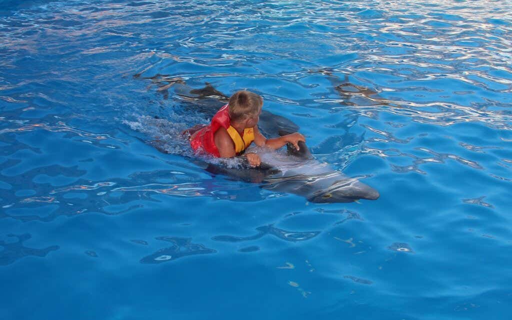 Garçon faisant la thérapie des dauphins