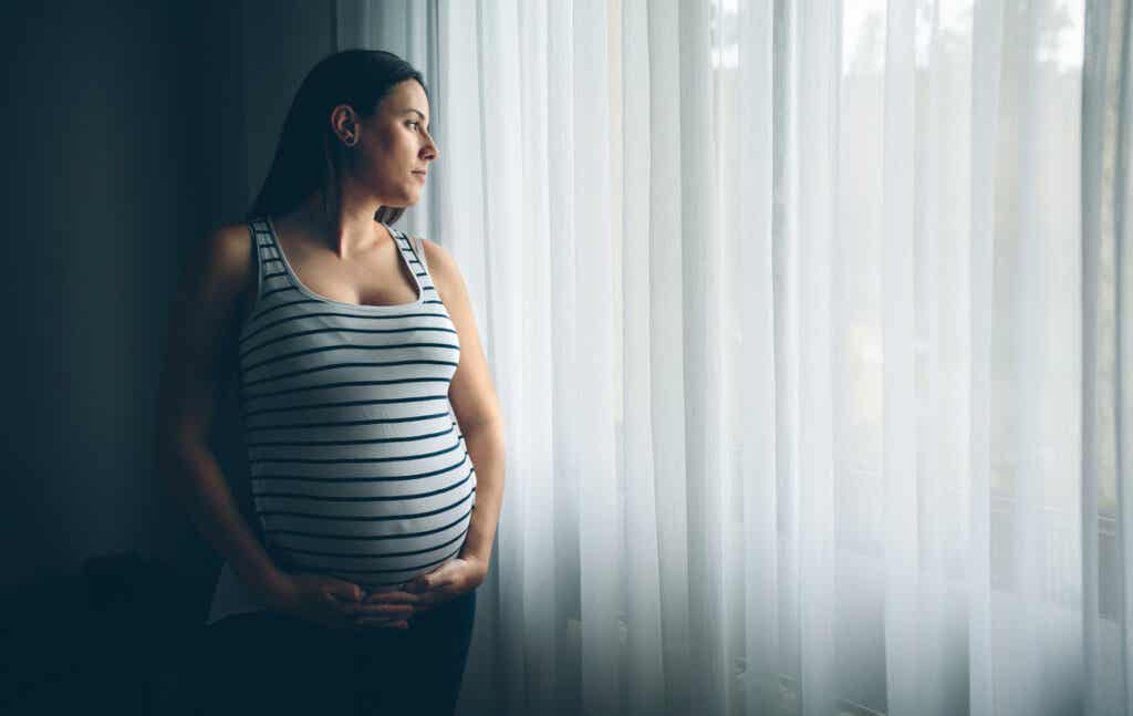 Embarazada mirando por la ventana