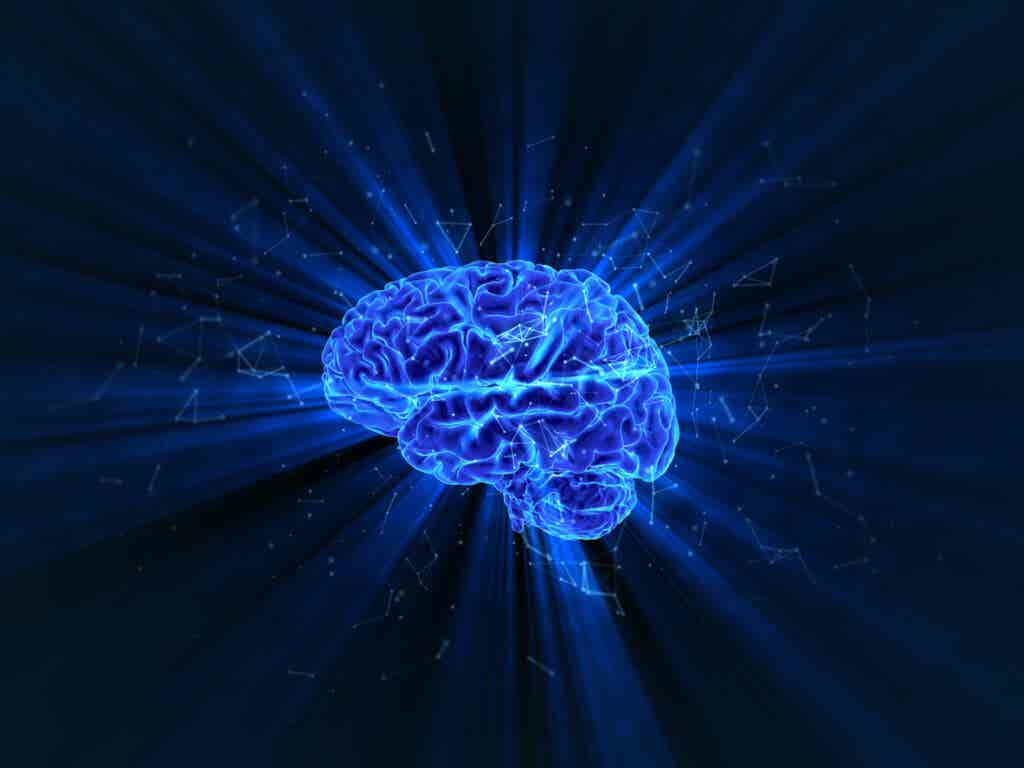 Cerebro iluminado de azul simbolizando la arquitectura neuronal de la inteligencia