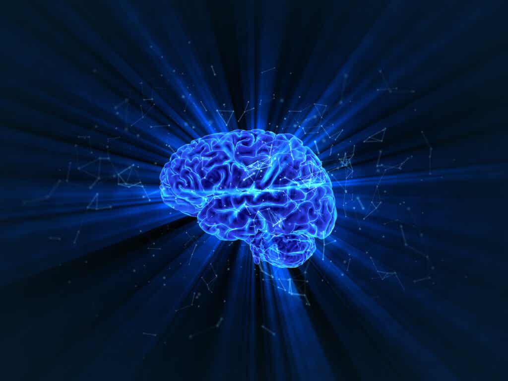 REM 수면과 깊은 수면의 단계를 나타내는 파란색 조명 뇌