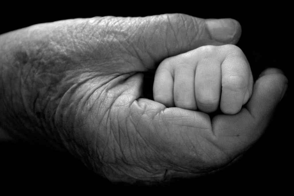 Zitate von Martin Heidegger