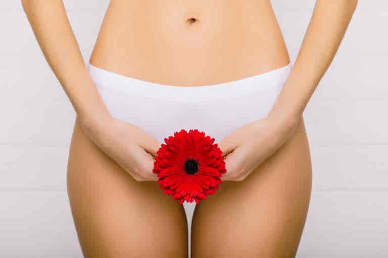 Curiosidades de la menstruación